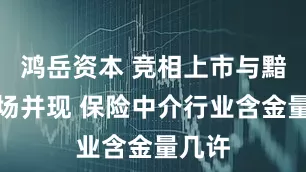 鸿岳资本 竞相上市与黯然退场并现 保险中介行业含金量几许