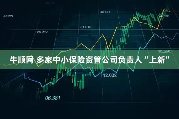 牛顺网 多家中小保险资管公司负责人“上新”