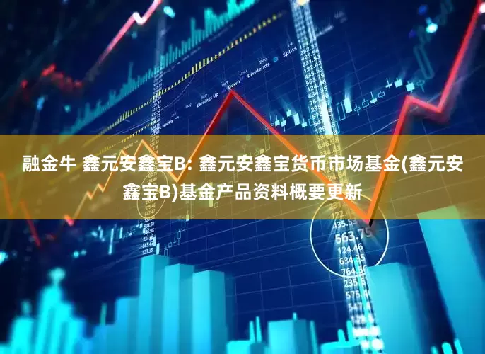 融金牛 鑫元安鑫宝B: 鑫元安鑫宝货币市场基金(鑫元安鑫宝B)基金产品资料概要更新