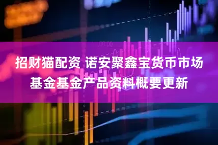 招财猫配资 诺安聚鑫宝货币市场基金基金产品资料概要更新