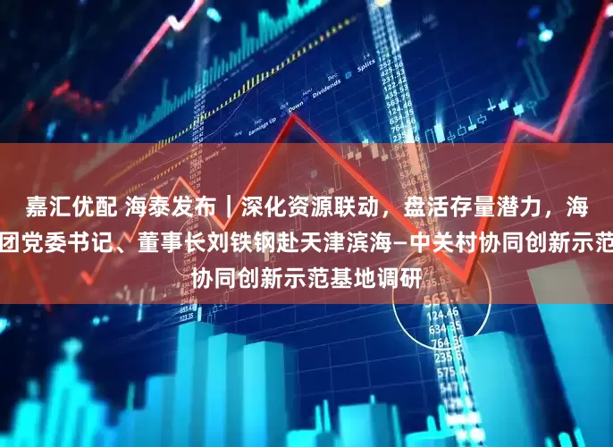 嘉汇优配 海泰发布｜深化资源联动，盘活存量潜力，海泰控股集团党委书记、董事长刘铁钢赴天津滨海—中关村协同创新示范基地调研