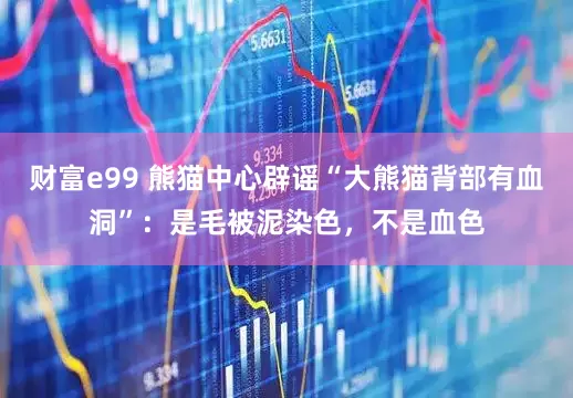 财富e99 熊猫中心辟谣“大熊猫背部有血洞”：是毛被泥染色，不是血色