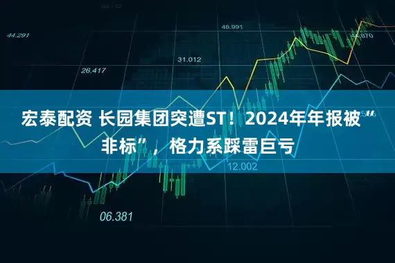 宏泰配资 长园集团突遭ST！2024年年报被“非标”，格力系踩雷巨亏